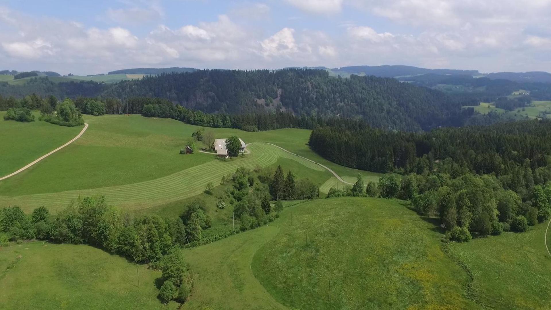 Ferienhaus Esche Хинтерцартен Екстериор снимка