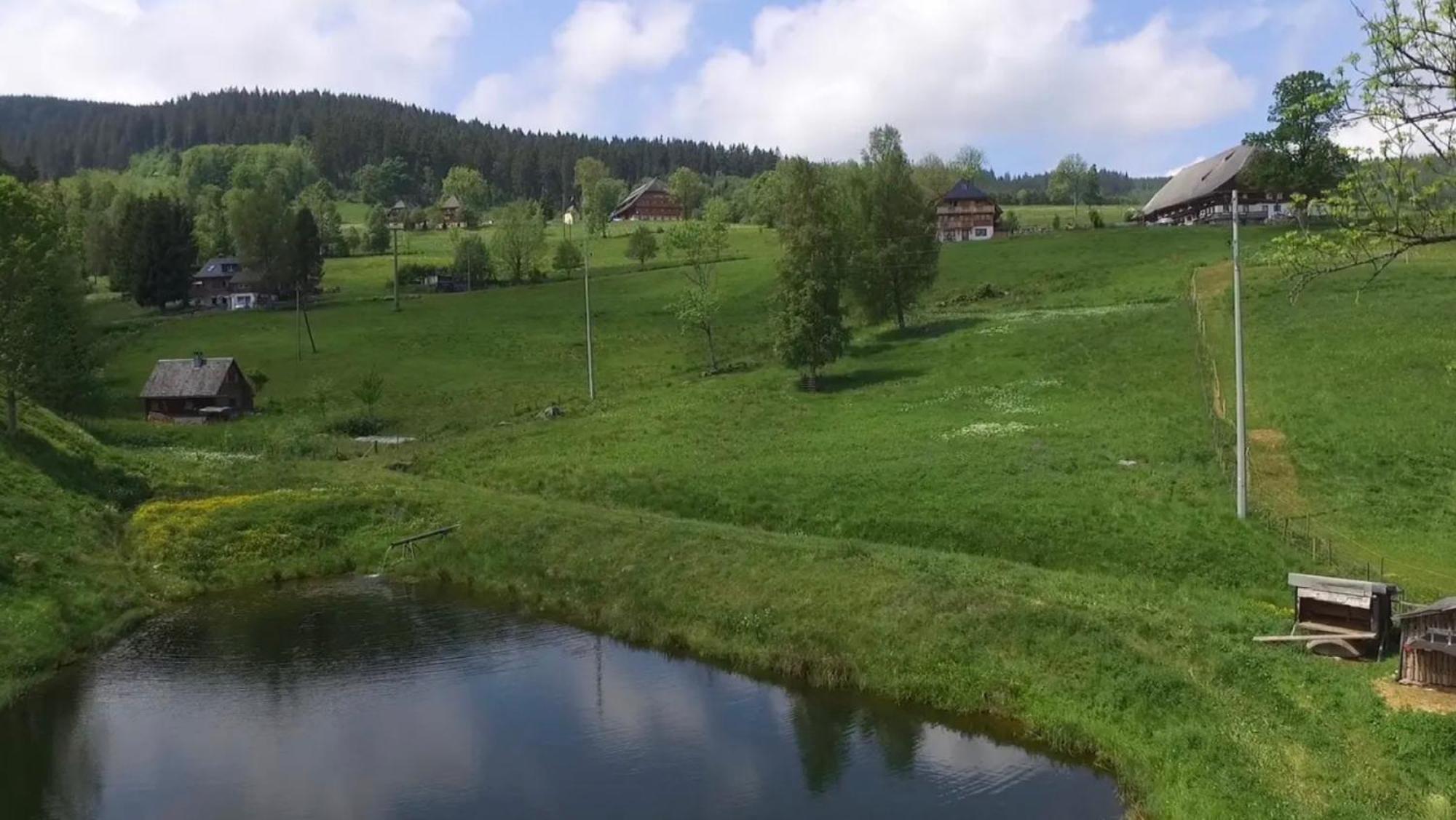Ferienhaus Esche Хинтерцартен Екстериор снимка