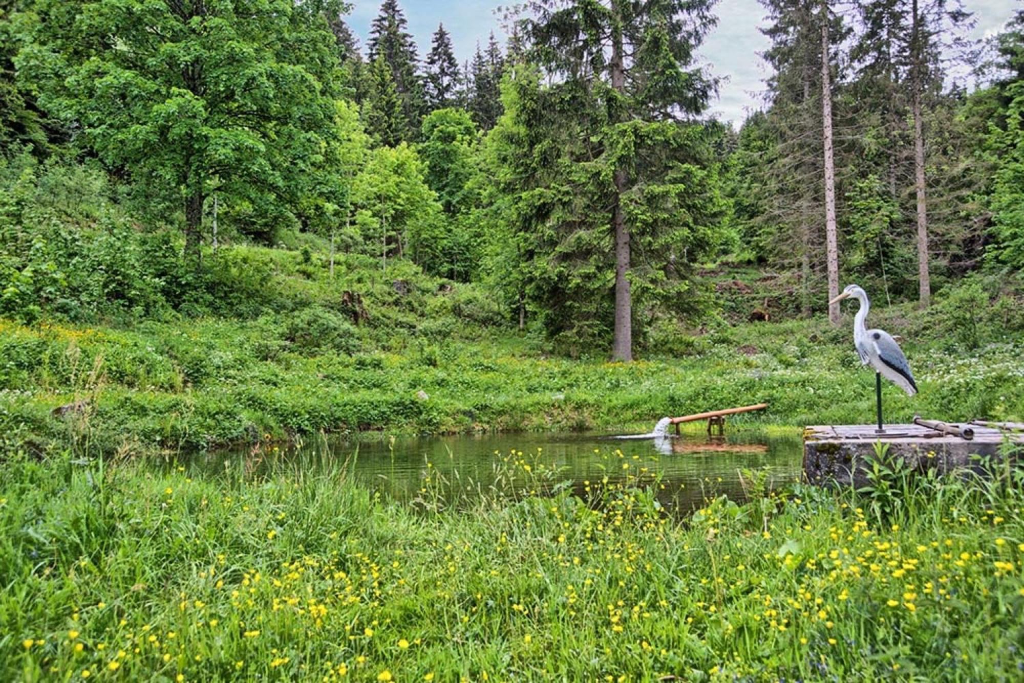 Ferienhaus Esche Хинтерцартен Екстериор снимка