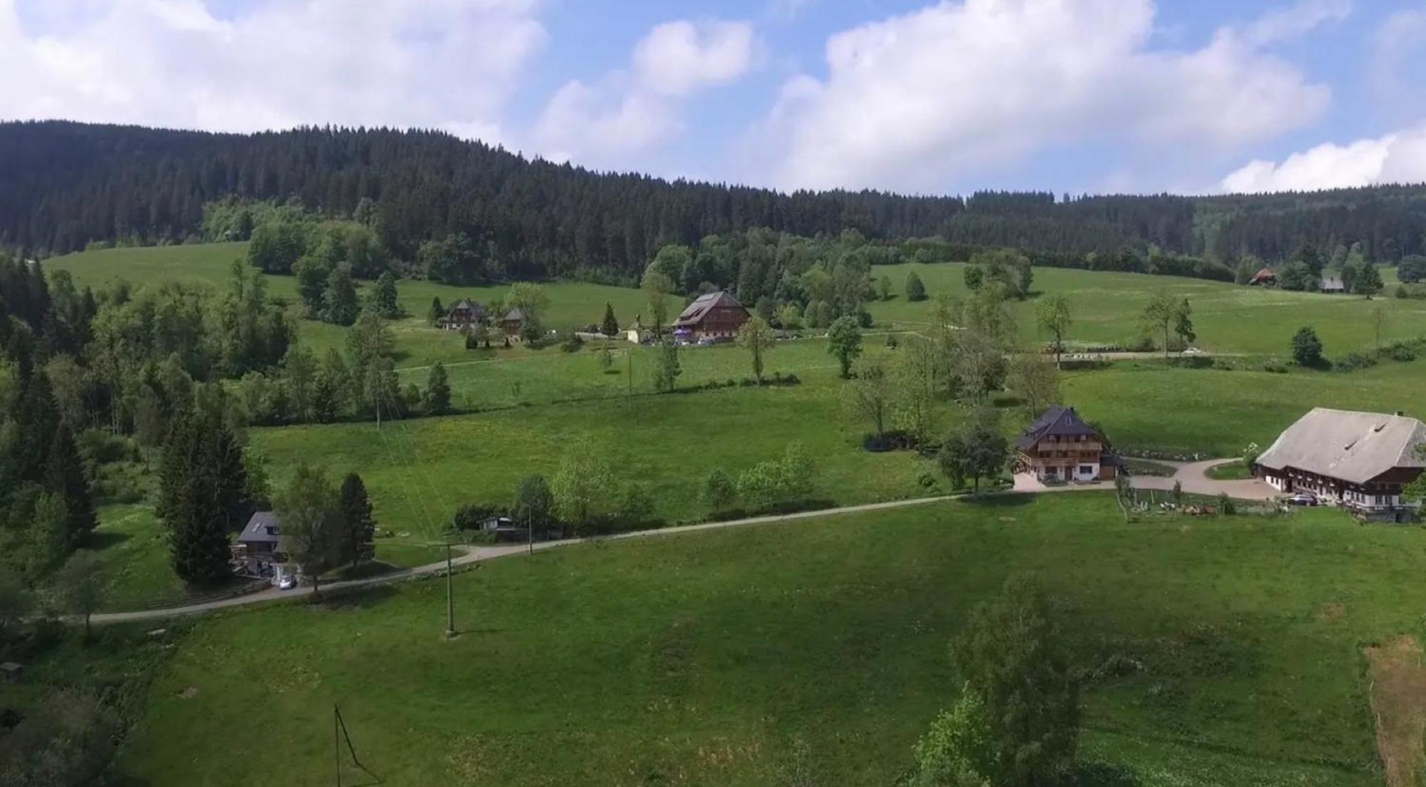 Ferienhaus Esche Хинтерцартен Екстериор снимка