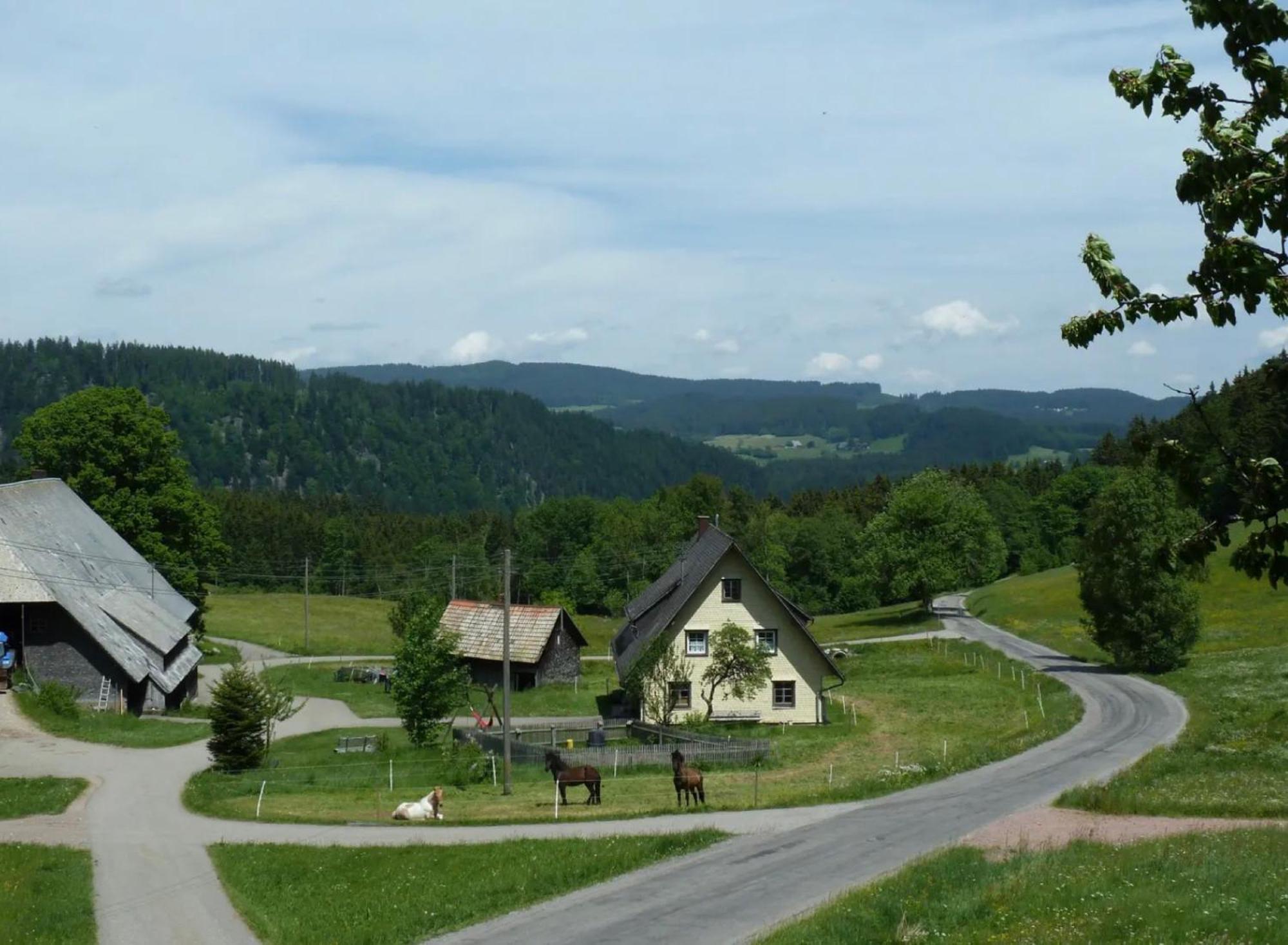 Ferienhaus Esche Хинтерцартен Екстериор снимка
